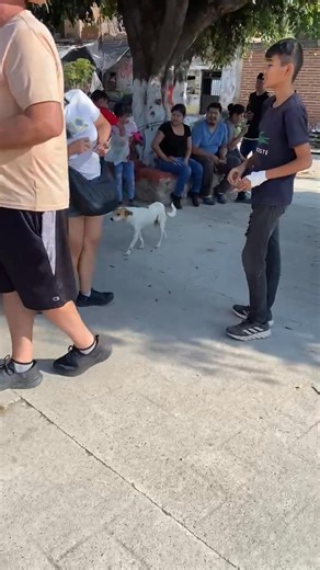 Connie Martin on Reels