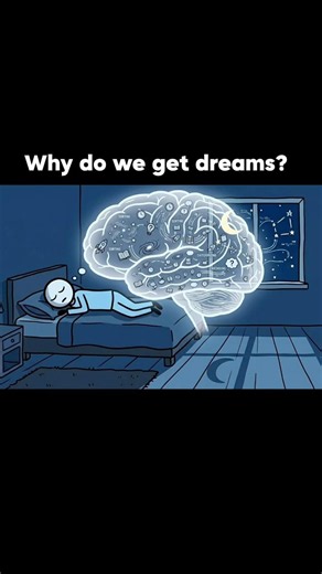Why Do We Dream? The Mystery of Dreams Explained 😴💭