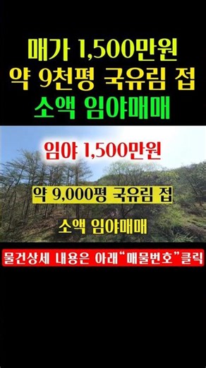 [1483] 매가 1,500만원의 소액 임야매매