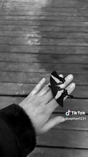 💍❤️…#islam #islamic #islamic_video #trending #trendingvideo #viralvideo #viral #muftimenk #muslim #fyp #foryoupage #foryou