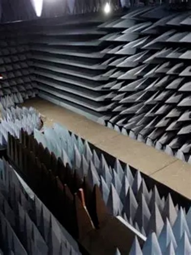 The Silence Hears YouImagine a room so quiet that silence becomes deafening. This is the Microsoft Anechoic Chamber in Washington, designed by engineer Gopal Gopal. It holds the world record for the quietest place on Earth, with a background noise level of -20.6 decibels.