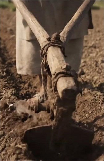 Incredible Ancient Invention: The Hand Plow That Fed Civilizations CAN YOU SPOT IT?