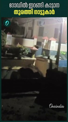 കണ്ണൂർ തൊട്ടിപ്പാലത്ത് വീണ്ടും കാട്ടാനയിറങ്ങി! നാട്ടുകാർ തുരത്തി ഓടിച്ചു Elephant chased back