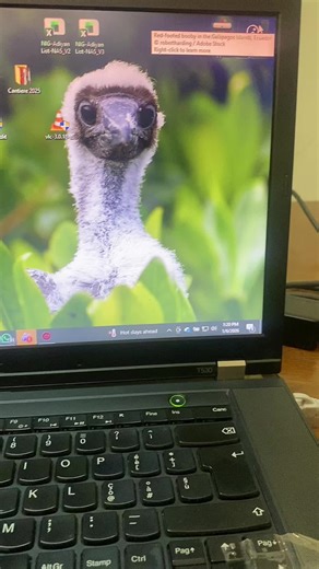 How to Check Your Physical (MAC) Address on Windows | Step-by-Step#ITSupport