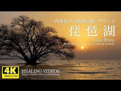 [Relaxing 4K Landscape Video/Live Action] Seasonal Scenery of Lake Biwa and Relaxing Sounds