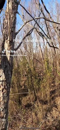 #louisianahunting #publiclandhunting #bowhunting #deerhunting #bowhuntin #louisiana