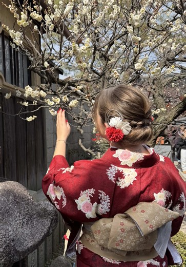 Explore Japan in 2026: Your Ultimate Travel Guide