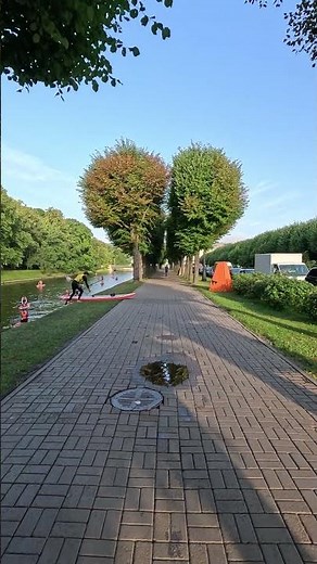 💚🌳Awesome Mirror Reflection of Heart Shape Trees #travel #explore #colors #nature #asmr #outdoors