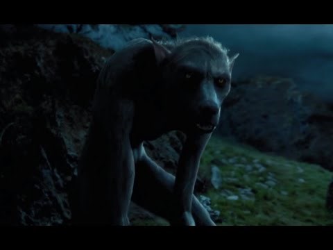 Werewolf transformation | Harry Potter