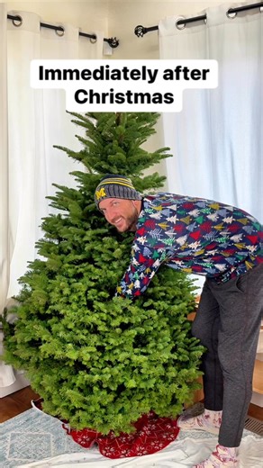 1.9M views · 3.2K reactions | Use a bedsheet to take out Christmas tree #christmastree #dayafterchristmas #treeremoval #bedsheets | Liz & Jeff | Facebook