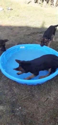 Digging in a pool!!