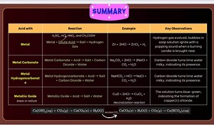 Acid with Reaction SUMMARY Example H,SO, HC HNO, and CH,COOH Me... | Filo