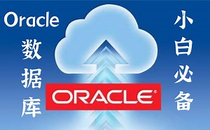 【Oracle 数据库】-（环境搭建 表链接 DDL DML）小白必备实战教程全套完整版【从入门到精通】