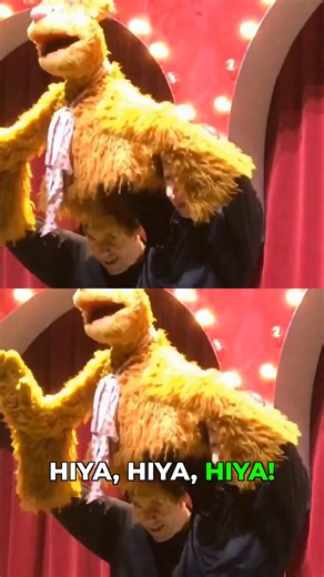 Here’s a clip from ‘The Muppets Take the O2’ in 2018. #muppets #muppetshow #kermitthefrog #rainbowconnection