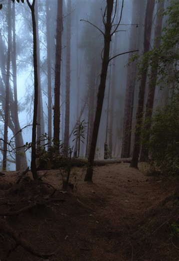 Sendero El Ahorcado: A Scary Hike in Costa Rica