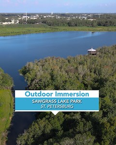 4.2K views · 179 reactions | Alligators, turtles and herons, oh my! Sawgrass Lake Park is just one of many lush parks, teeming with wildlife, waiting for you to explore here in St. Pete/Clearwater! Sound UP and enjoy! ☀️ | Visit St. Pete-Clearwater | Facebook