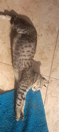 main tere ishq me mar na jau kahi