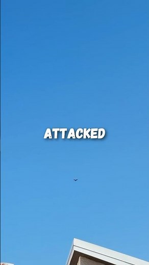 Birds vs Drones during mating season 🦅