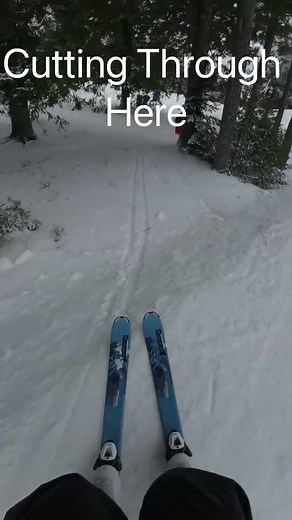 Cutting Through Trail To Trail #skiing #trail #tricks