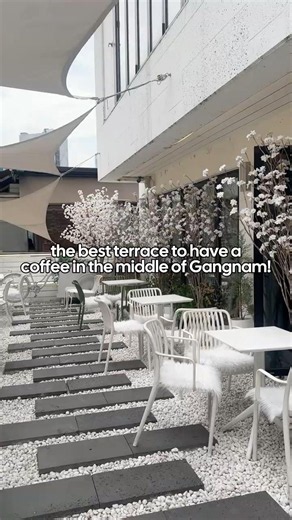 you will love this cafe in the center of Gangnam! ☺️✨ #southkorea #gangnam #cafe #koreancafe #korea