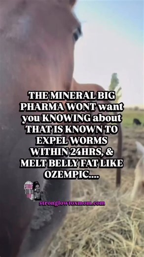 16yr Certified Strength Coach & Detox Educator|Sarah Wohlgemuth on Instagram: "OF COURSE THEY DONT’T WANT YOU TO KNOW ABOUT ONE MINERAL that plays a MAJOR role in ROOT-CAUSE HEALING ❤️‍🩹 (cuz healthy people won’t make them money ) So many people are doing everything right Cutting sugar Cleaning up their diet Trying protocol after protocol Taking supplements Yet the symptoms keep coming back. Why? Because one major piece is often missed 👇🏽 Toxic load. Especially heavy metals. When the body is 