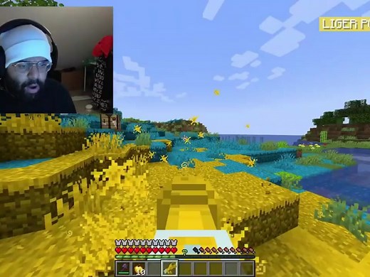 Why I Colored The Entire World Part 8 #minecraft #bionic #gaming #fypシ