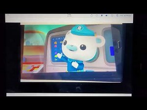 creature report puffins and pangolin