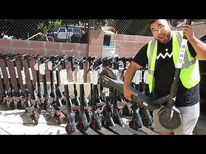 $200/Day Charging Bird Scooters (2019)