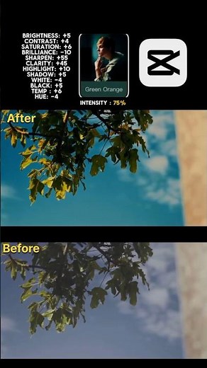 Cinematic Green Orange Color Grading Tutorial 🌿 | CapCut Mobile Editing