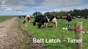 Batt Latch is a great tool to save you time fetching cows morning and evening while allowing cows to come in at their own pace. https://www.grasstecgroup.com/product/batt-latch-timer/ | Grasstec