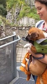 To license this content please click here: https://www.jukinmedia.com/licensing/view/1196648-2?utm_source=RMsocialpost&utm_medium=RMsocialpost | Jukin Copyright Management | Facebook