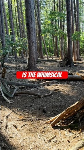 Mackworth Island State Park Guide | Falmouth, Maine #Maine #TravelGuide #viral #maine #thingstodo