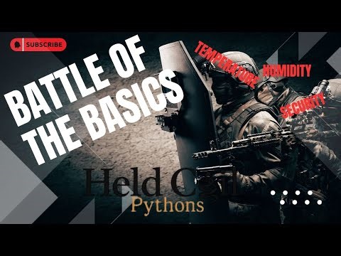 Battle Of The Basics - Held Coil Pythons