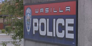 Wasilla man killed in collision with moose while fleeing police