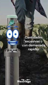 ¿Sabes lo que es la escorrentía?