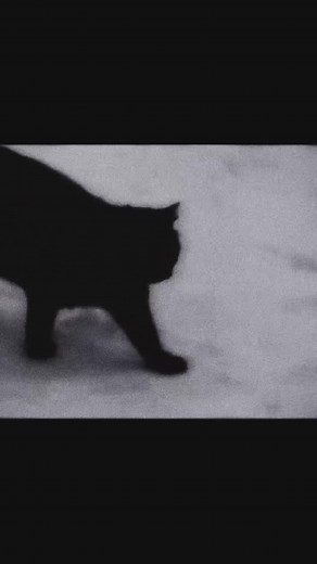 astral on Instagram: "fragmented // song: fragment - astral #nostalgia #core #astral"