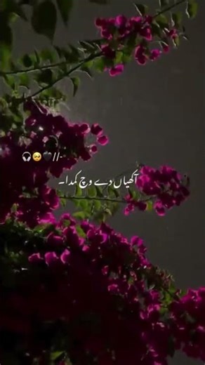 pyar tery da asar aa🥰#love 73# short video....