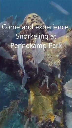 Inside John Pennekamp Coral Reef State Park, Snorkeling at Pennekamp