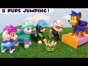 Five Cheeky Pups are Jumping