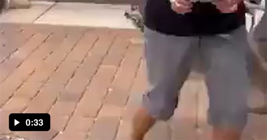 Turttle equivalent mansion - Video