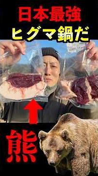 【熊肉】ヒグマ肉で熊鍋してみた！