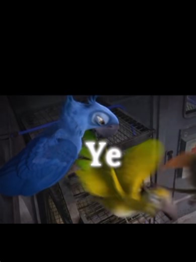 Rio de Janeiro: A Vibrant Edit