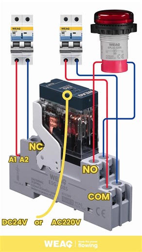 Relay Wiring Practice: Dual MCB & Indicator Light Setup. #ElectromechanicalRelay #GeneralElectricalRelay #IndustrialControlRelay #InterfaceRelay #MiniaturePowerRelay #RelayWiring #ControlCircuit #IndustrialRelay #ElectricalControl #WiringTutorial
