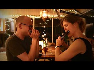 Irish harmonica & flute - Lads of Laois/The Galtee