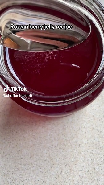 Rowan berry jelly! I leave the apple out as I like the pure flavour and bitter sweet vibes of the rowan berry. It pairs deliciously with cured meats, game, cheese and great to glaze meats/vegetables and finish sauces and gravy’s 🌿😋🎉 Recipe: Rowan berries 🔴 Water 💦 Jam sugar Juice of 1 lemon 🍋 Ratio: 450g sugar for every 600g of rowan berry liquid 👌🏻 #wildfood #rowanberry #recipesoftiktok #forage #chefsoftiktok #fypシ