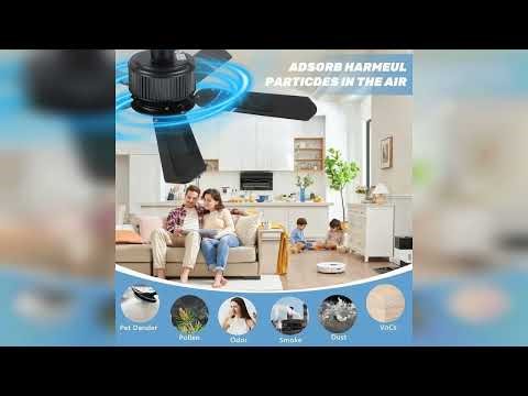 Review: Ceiling Fan Filters for Blades, Fan Blade Air Purifier Pads, Coconut-Shell Activated C...