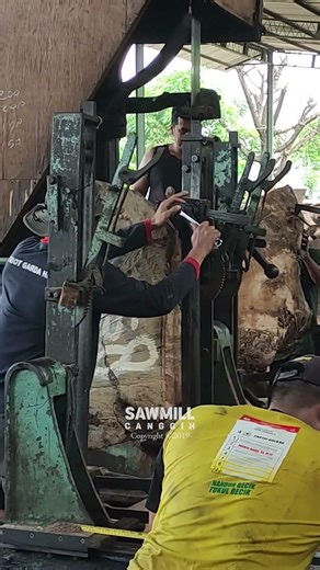 Raw Log to Rich #wood #sawblade #monkeypod