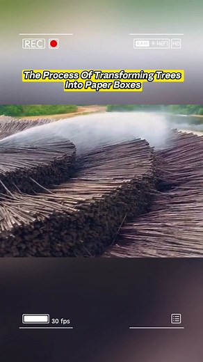 The Process of Transforming Trees into Paper Boxes #modernmachines #machine #machines #foryou #viral