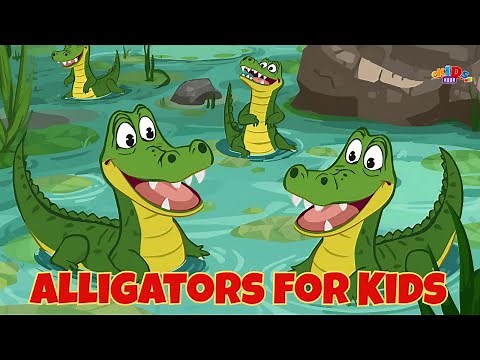 Alligators for Kids 🐊 | Fun Facts About Alligators | Kids Hour Animal Adventures