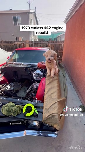 Rebuild and Restore Your Oldsmobile 442 Cutlass 455 Rocket